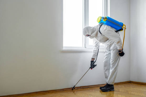 Best Termite Control Services  in Wayland, MI
