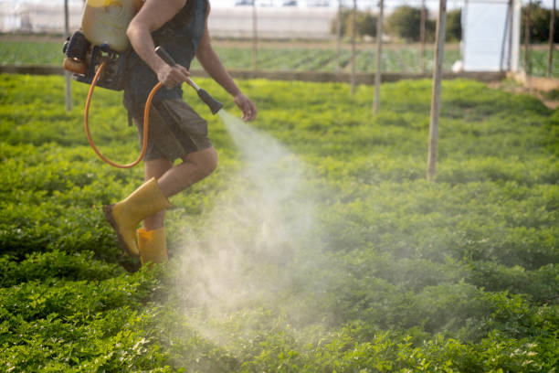 Best Mosquito Control Services  in Wayland, MI