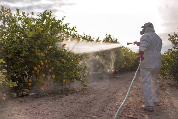 Wildlife Control Services in Wayland, MI