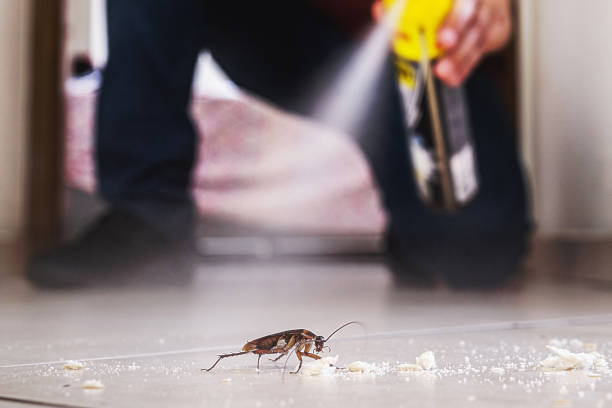 Best Commercial Pest Control Services  in Wayland, MI