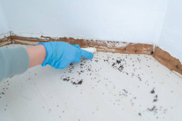 Best Best Pest Control Companies  in Wayland, MI